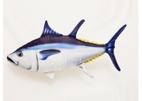 Tuńczyk błękitnopłetwy gigant 100cm